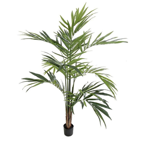 Kentia Palm Potted - Artificial Plant (200cm)