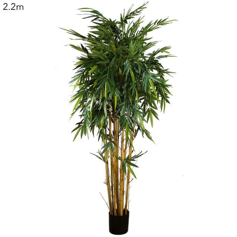 New Bamboo Tree - Artificial Plant (2.2m)