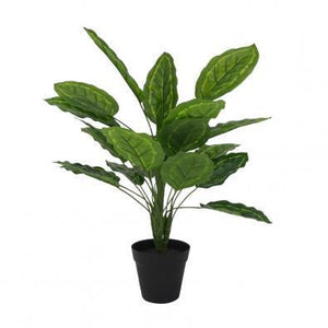 best-outdoor-furniture-Peacock Plant with Pot - Artificial Plant (45cm)