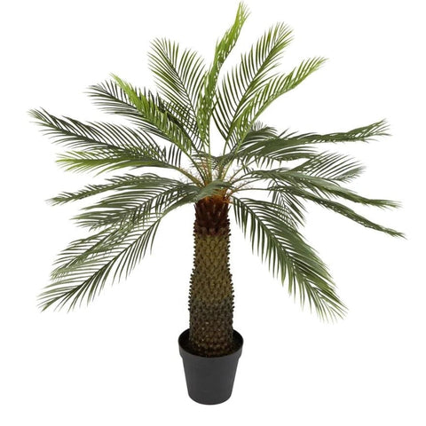 Sago Palm Cycad Tree - 1.4m