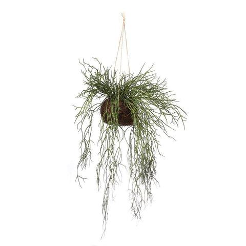 Sea Grass Vine Hanging - Artificial Plant (100cm)