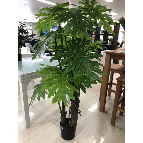 Selloum Plant - Artificial Plant (150cm)