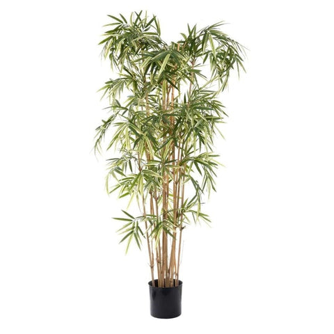 Variegated Royal Bamboo - Artificial Tree (1.7m)