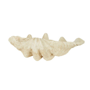 best-outdoor-furniture-Giant Clam Sculpture Natural
