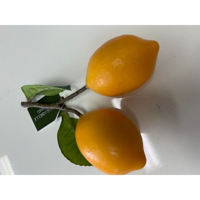 best-outdoor-furniture-Lemon Branch