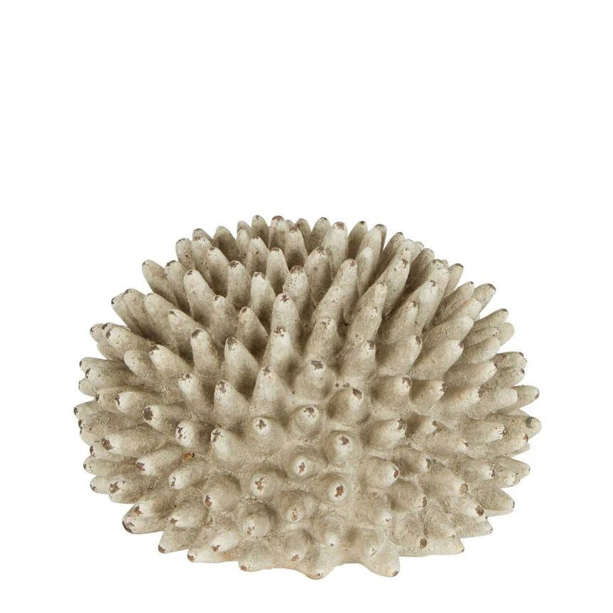 best-outdoor-furniture-Rustic Urchin Flower